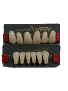 Zęby Wiedent Estetic 6 szt.