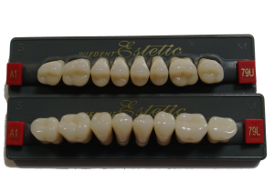 Zęby Wiedent Estetic 8 szt.