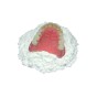 poliresin-2kg-siladent1.jpg