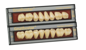 Zęby Gnathostar boczne 8 szt. A-D